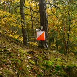 Orienteering